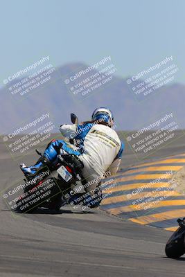 media/Apr-09-2023-SoCal Trackdays (Sun) [[333f347954]]/Turn 12 Backside (1pm)/